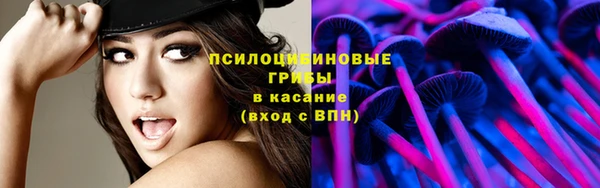 гидра Инсар