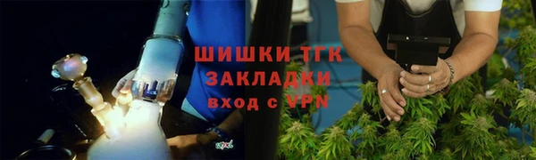 гидропоника Каменка