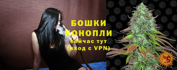 гашик Карпинск