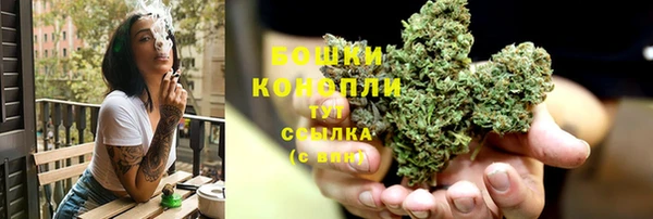 ПСИЛОЦИБИНОВЫЕ ГРИБЫ Касимов