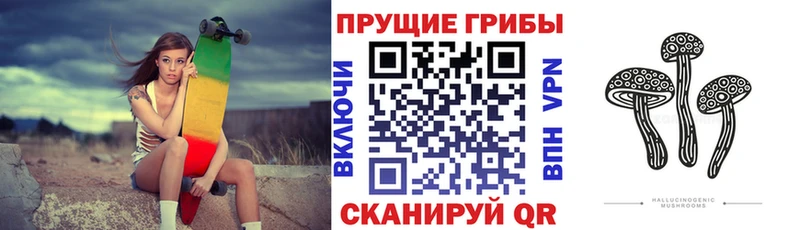 Псилоцибиновые грибы Psilocybine cubensis OMG маркетплейс Луховицы