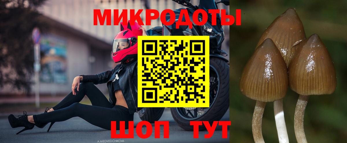 где найти наркотики  Вход с VPN  Луховицы  Галлюциногенные грибы Psilocybe 